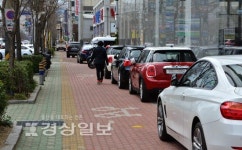 주차장으로 변한 자전거도로
