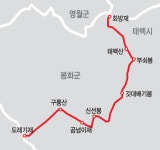 [백두에서 한라까지]운무 헤치고 단군왕검의 얼이 서린 한민족 영산 태백산 올라
