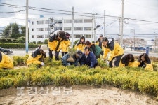 북구 효문동 버려진 자투리땅 꽃동산으로 변신
