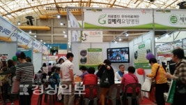 길메리요양병원, 제6회 울산건강박람회에서 건강상담 실시