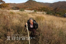 [배성동의 영남알프스 견문록]오갈 곳 없는 화전민에 제몸 내어주며 먹여살린 사자평