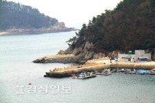 [이성규의 낚시천하]봄엔 볼락, 여름엔 벵에돔…아는 사람만 아는 포인트