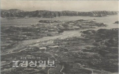 [학(鶴)문화, 원류를 찾아서]학성·학산…학의 서식 흔적 지명에 남아