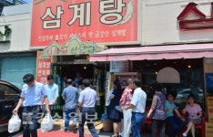 [포토]중복…삼계탕집 문전성시