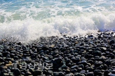 [울산지역 가볼만한 휴가명소]쭉쭉 뻗은 대나무·해변 가득메운 몽돌 숨은 보석