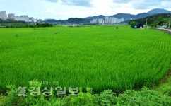 울주군 우량농지 전용허가 막는다
