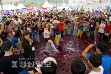 [전국은 포도축제]알알이 영근 포도송이에 관광객 추억도 주렁주렁