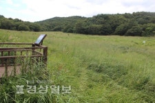 [태초가 살아숨쉬는 무제치늪]산, 숲, 늪…원시에 빠져들 시간