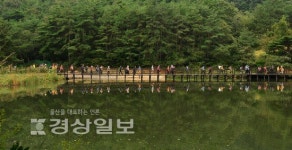 [울산어울길 걷기]시원한 바람…풀벌레 소리…초가을 정취 가슴 가득 담아