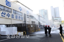 [사진뉴스]농수산물도매시장 소방훈련