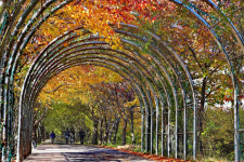 [사진뉴스]가을의 절정, 안양천 제방길