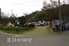 [이성규의 낚시천하]작은섬에 10여개가 넘는 방파제, 낚시에 안성맞춤