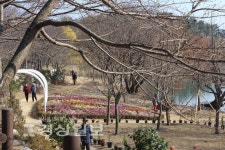 [산사 길 타박타박]도심 속 수려한 생태호수공원 산책하며 찾는 보탑사