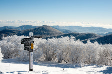 [사진뉴스]태백산은 지금 은빛 세상
