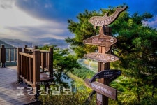 울산 남구 솔마루길 3월에 걷기 좋은 곳