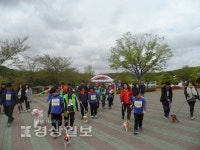 [제15회 울산커플마라톤대회 참가팀 소개](1) 꿈빛소금