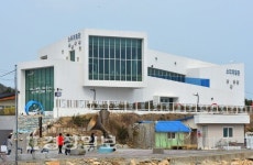 [Ⅳ.1박2일 코스 울산 투어]봄바다의 싱그러움 속으로 초대합니다