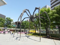 [홍영진 기자의 행복한 미술관 여행]지친 도시인들의 힐링 공간…퇴근한 직장인들로 북적