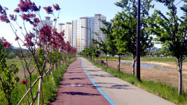 울주군 청량면, 명품산책로  오목(五木) 산책로 조성