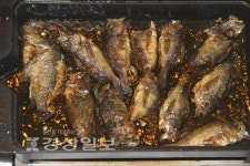 [이성규의 낚시천하]따스한 달빛 아래 쉼없이 낚는 재미 맛보시렵니까