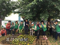 울산 북구 농소1동 새마을협의회·부녀회, 호계 시장2리 사거리 일원에 여름꽃 심어