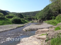 [강상구의 명당산책]대곡천, 산맥-물길 태극처럼 안고도는 산태극 수태극(山太極 水太極) 지세