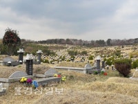 [강상구의 명당산책]조상의 묘소가 평지일수록 남자 후손 개체수 증가