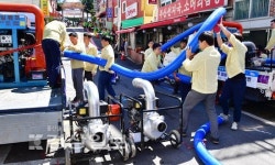 [사진뉴스]태화시장 침수피해 대응훈련