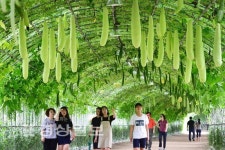 [사진뉴스]싱그러운 여름