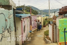 천혜의 자연 품은 푸른섬…사슴과동백 만나러 갑니다