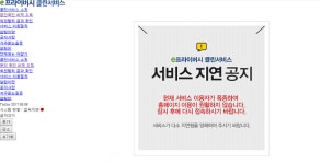 e프라이버시 클린센터 접속 안 되는 황당한 이유 동접 1000명으로 설계