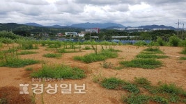 울산에도 3·1운동 100주년 기념탑 세워진다
