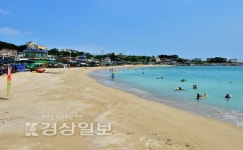 울주군 서생면 나사해수욕장 옛명성 되찾기 시동