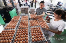 살충제 달걀 부적합 농장, 6개→29개...검출 지역 계란 번호 꼭 알아두자