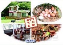 힐링 1번지 횡성, 홍천 일대전원형 가족농장 인기