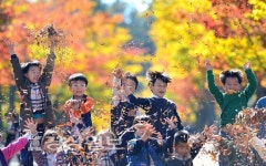 노랗게 물든 낙엽 던지며 신나게 놀아요