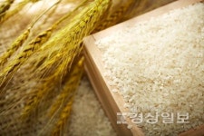 경로당 쌀지원, 급식인원에 맞춰 차등 필요