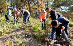 울산대공원 갈티못 주변, 숲 가꾸기 날 행사 열려