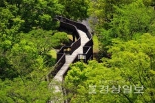 울산 동구 남목 자연생태공원 조성 속도 낸다