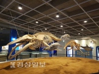 울산 남구 장생포고래박물관 16일 재개관