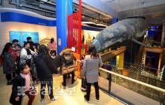 새 단장한 고래박물관 휴일 맞아 북적북적