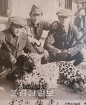 영남알프스·대곡천 일대 호랑이 특구로 개발하자