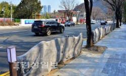 울산 남산 산책로 보온용 부직포 도시미관 해쳐