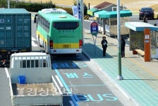 울산 태화교 하부 공항·시외버스 매표소 양성화