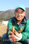 [부농부촌 꿈꾸는 울산의 임업농가]울산 베이비부머 꿈 영그는 천마재배농장