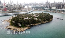 [추억의 섬, 목도(目島)를 시민 품으로]동백식생 급격 악화…특색 잃은 섬