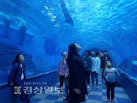 고래박물관, 청소년 대상 주니어 해설사 양성