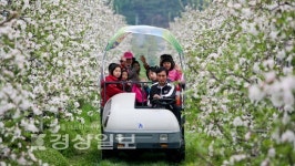 [주말축제]풍성한 특산물 먹거리의 향연 봄축제로