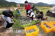 울산조경사회, 시민교육생 정원 만들기 실습