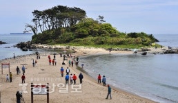 진하해수욕장 앞 열린 바닷길 사이로 명선도 산책